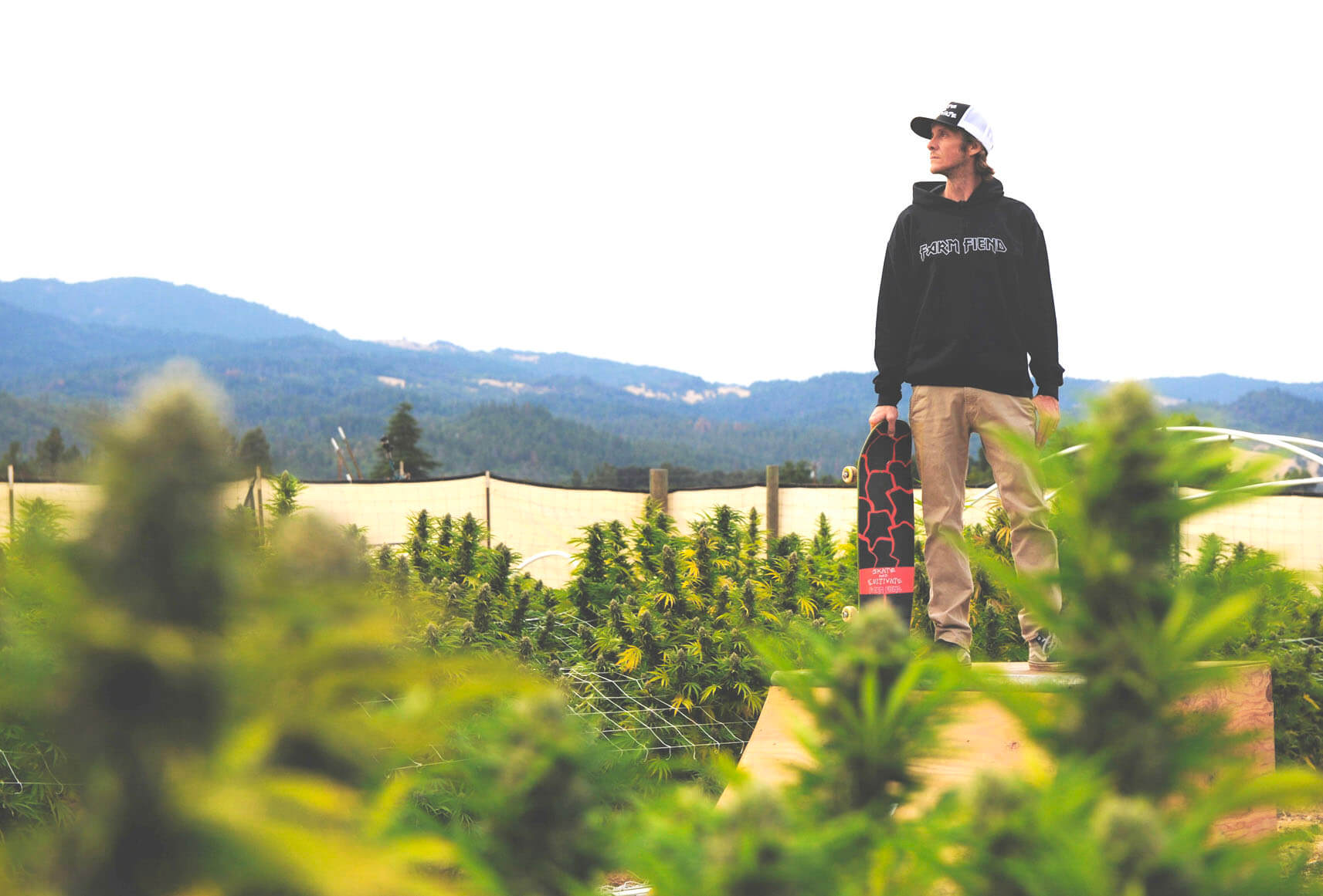 Farm Fiend: Flower and Pre Rolls